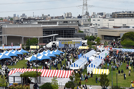 写真：全体の様子