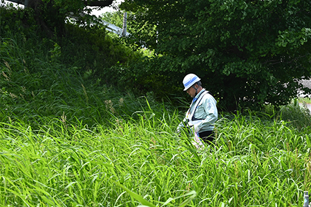 写真：市長も美化運動に参加