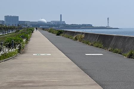 写真：舞浜の遊歩道