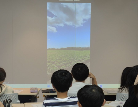 畑の様子