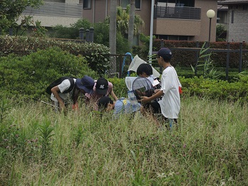 みんなで虫を探しています