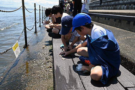 写真:粘土で痕跡を写し取る様子
