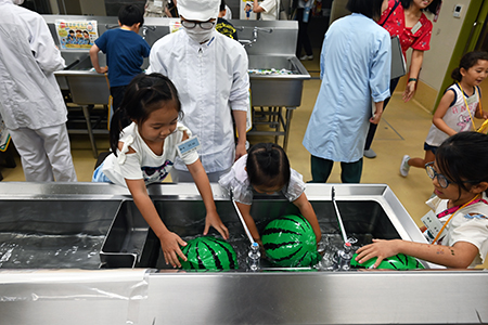 写真：食材洗いを体験する児童