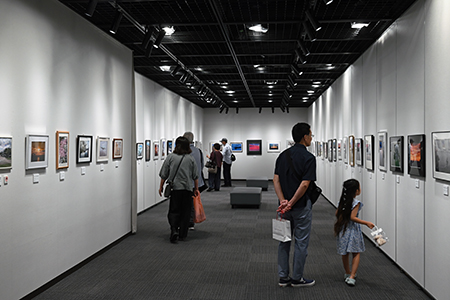 写真：写真展に訪れた人